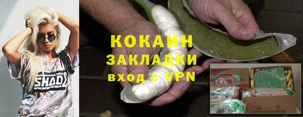 стафф Аркадак