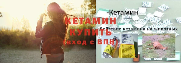 стафф Аркадак