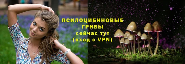 кокс Арсеньев